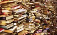 plethora-of-books-picture-perception-story-writing